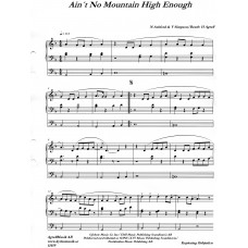 Ain´t No Mountain High Enough / N Ashford & V Simpson